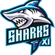 Sharks Cricket Academy