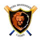 Mira Bhayandar Lions